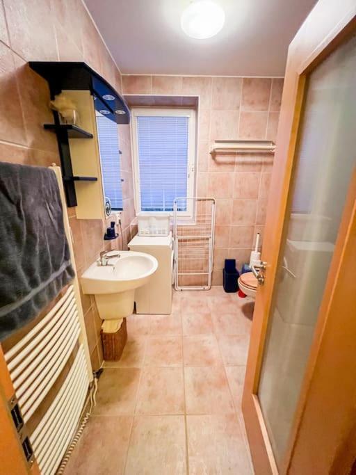 Ferienwohnung Prokop Železná Ruda Exterior foto