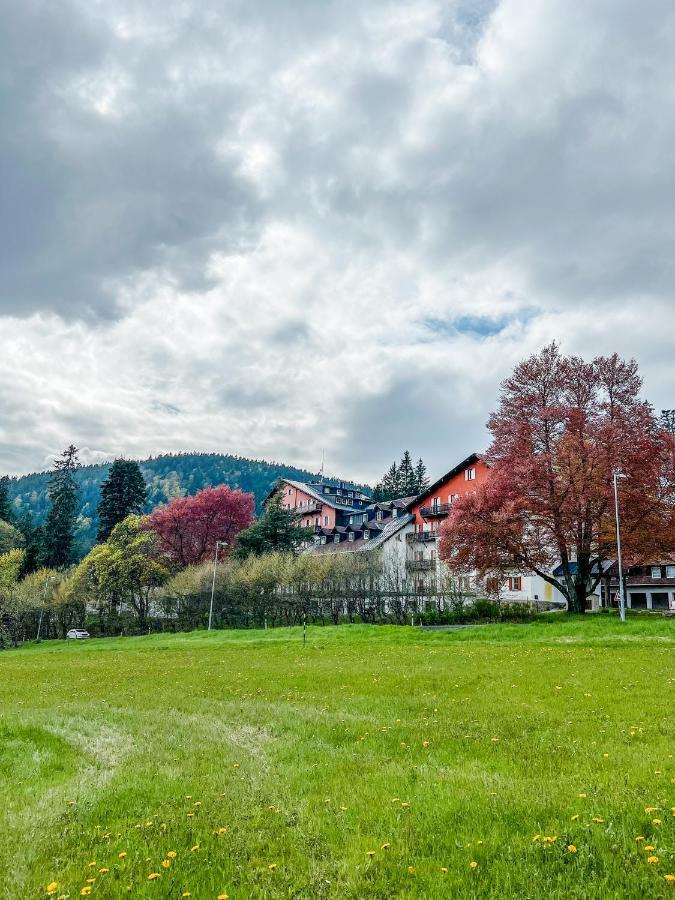 Ferienwohnung Prokop Železná Ruda Exterior foto