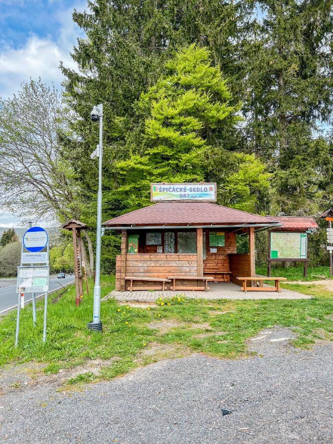 Ferienwohnung Prokop Železná Ruda Exterior foto